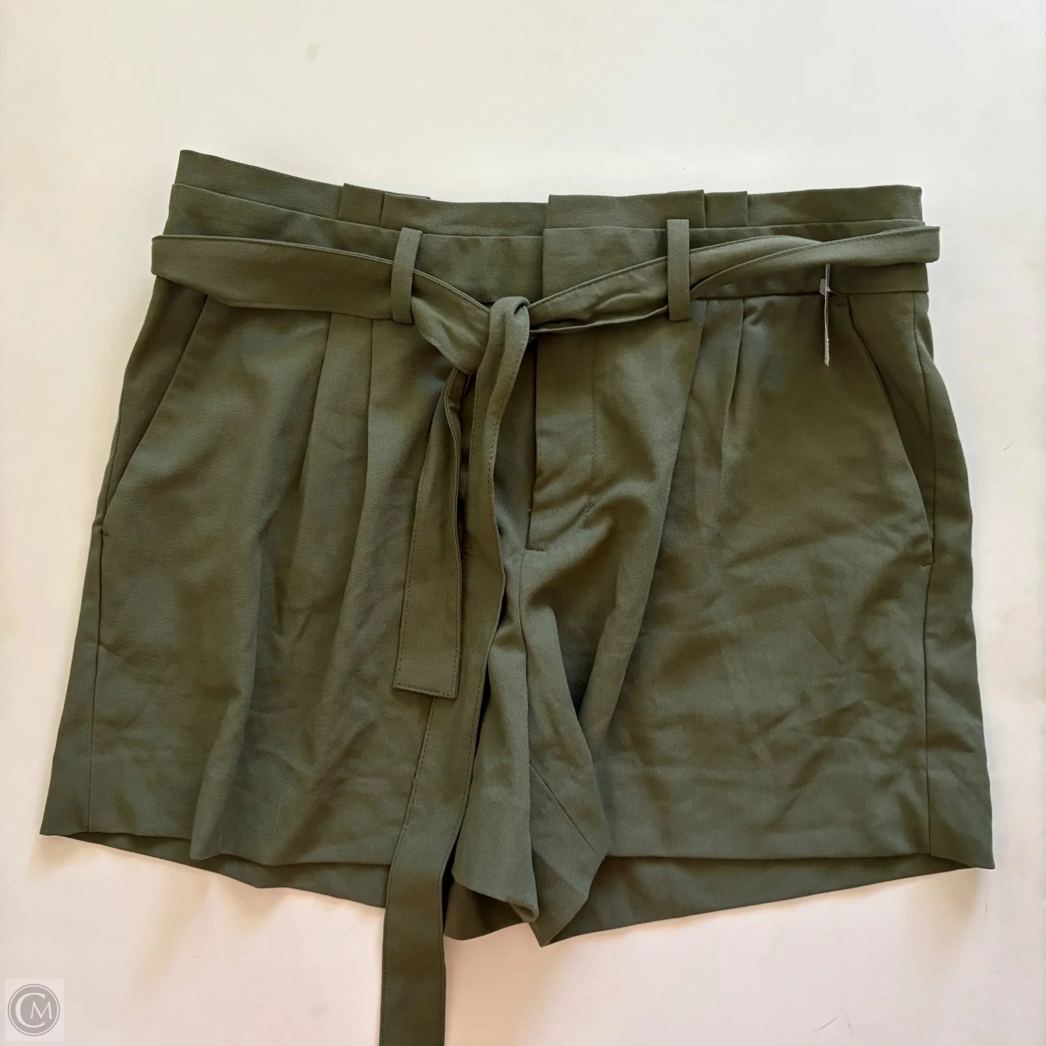 Shorts By Banana Republic In Green, Size: 12 - Image 1