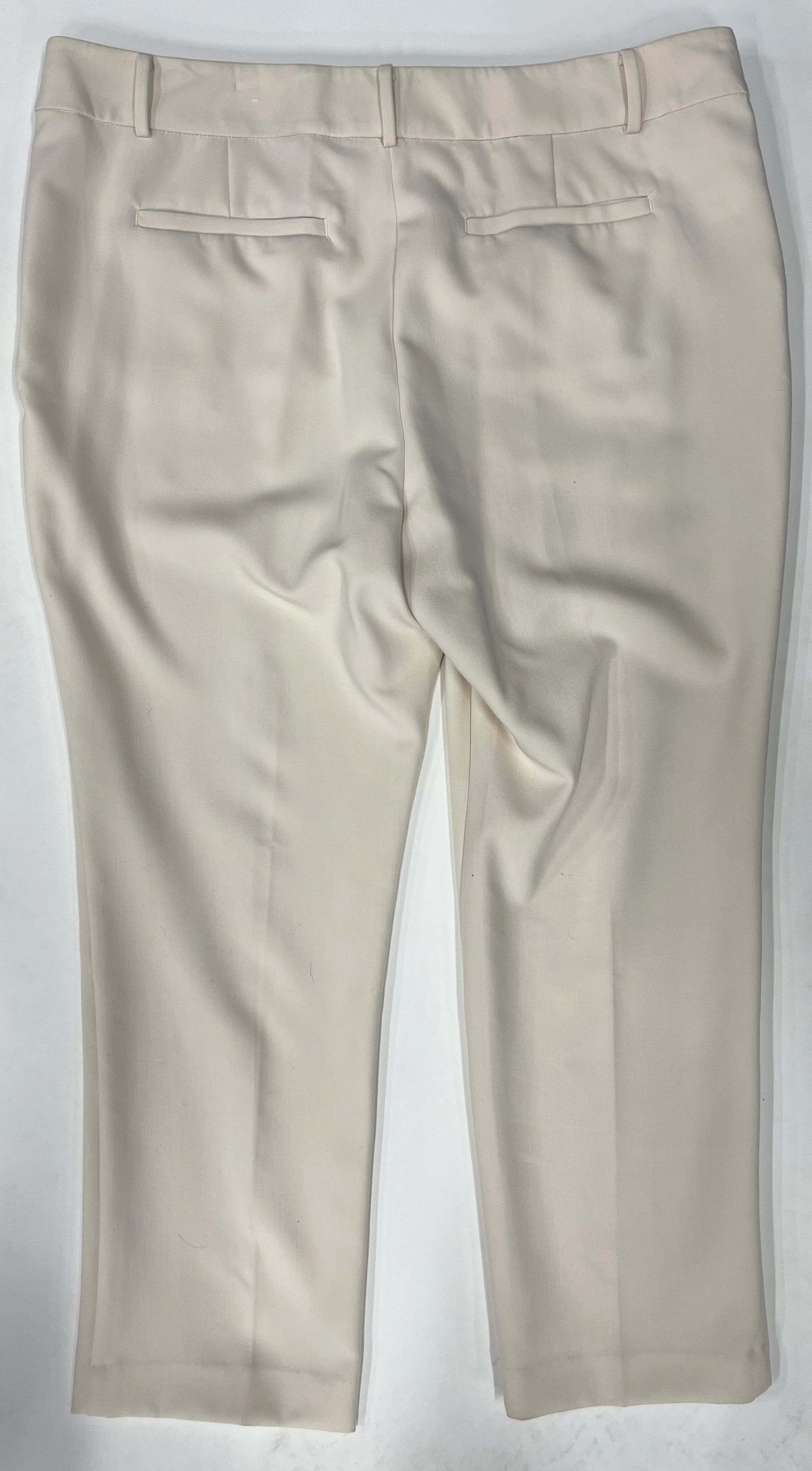 Pants Ankle By Ann Taylor  Size: 16 - Image 2