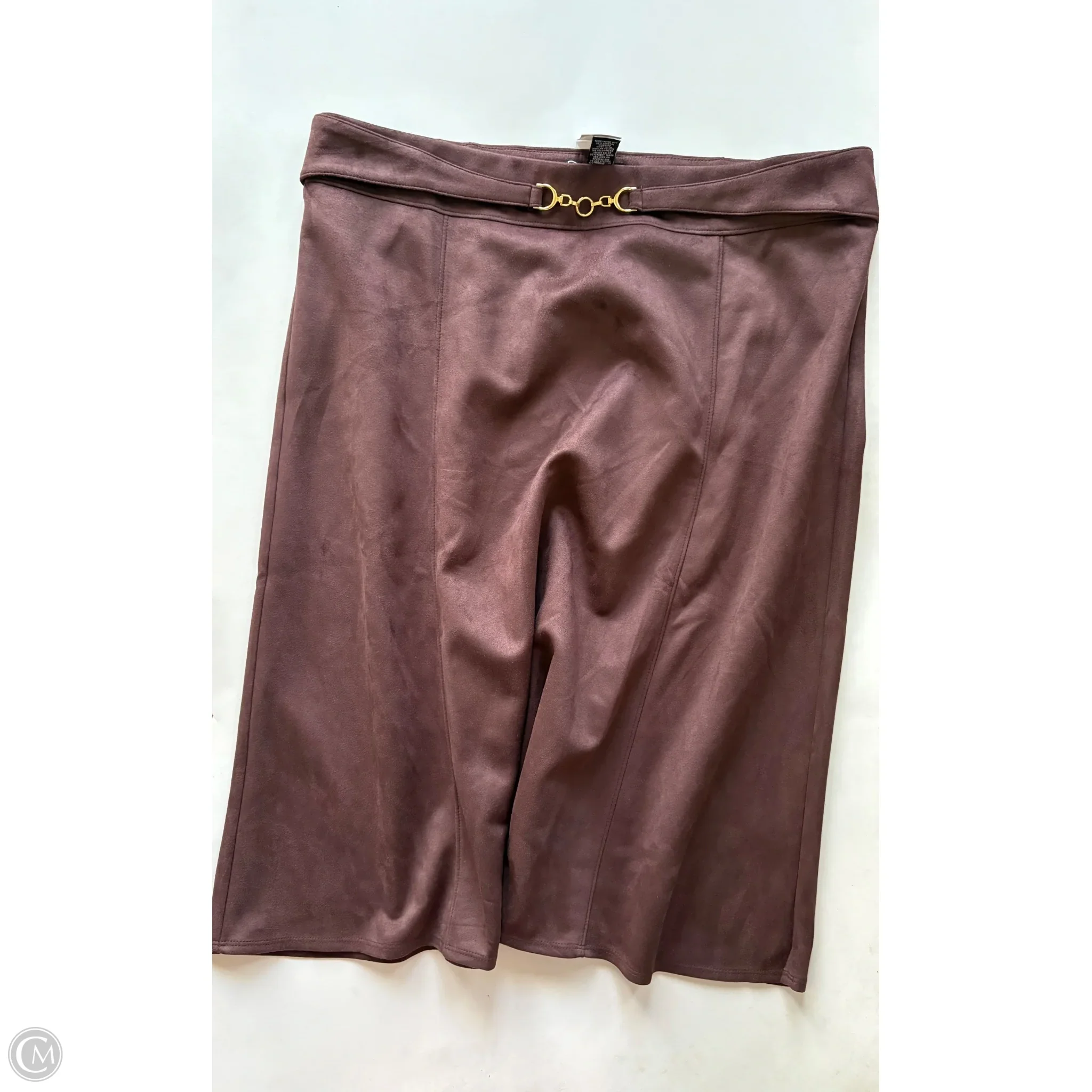 Skirt Midi By New York And Co In Brown, Size: Xl - Image 1