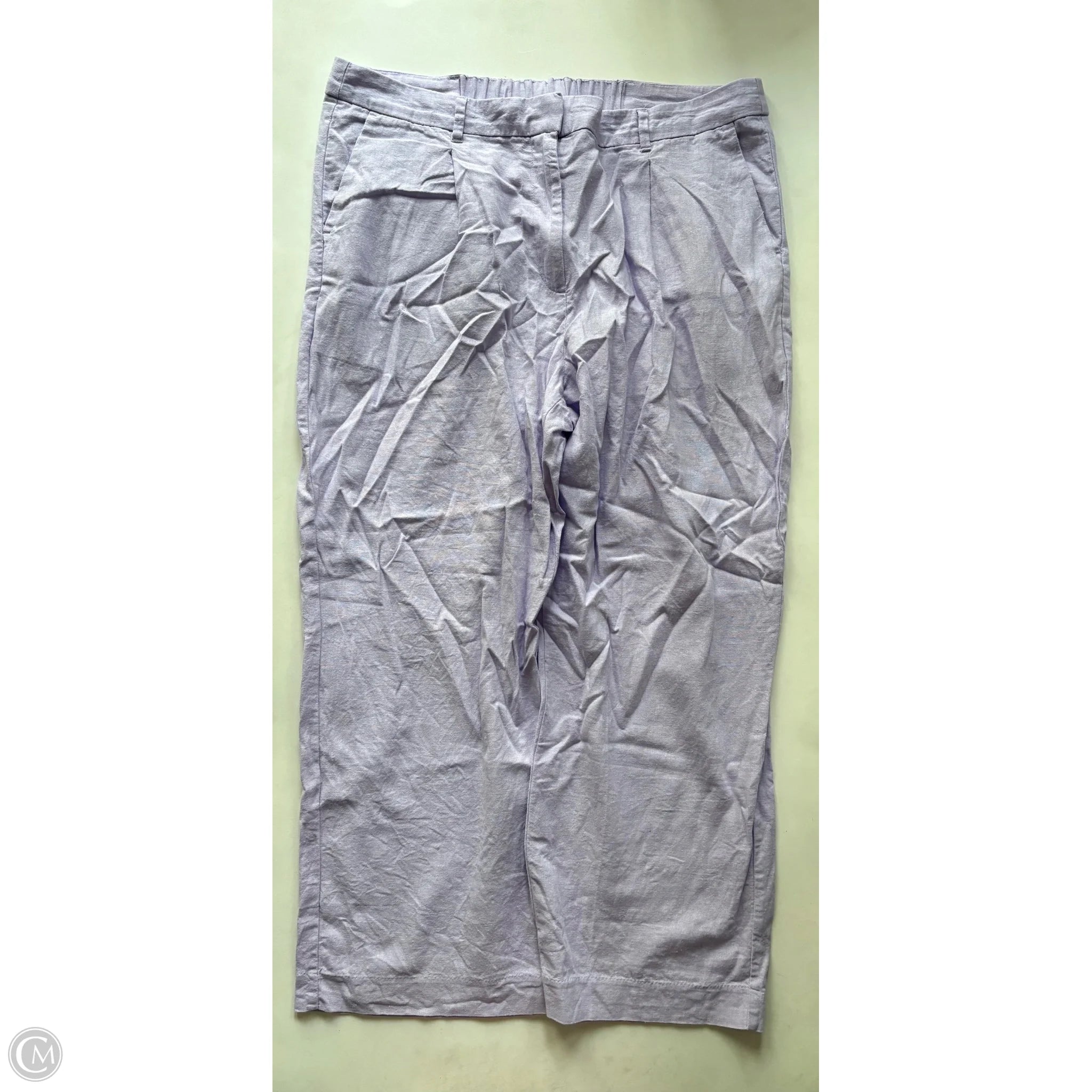 Pants Cargo & Utility By Old Navy In Purple, Size: Xl - Image 1
