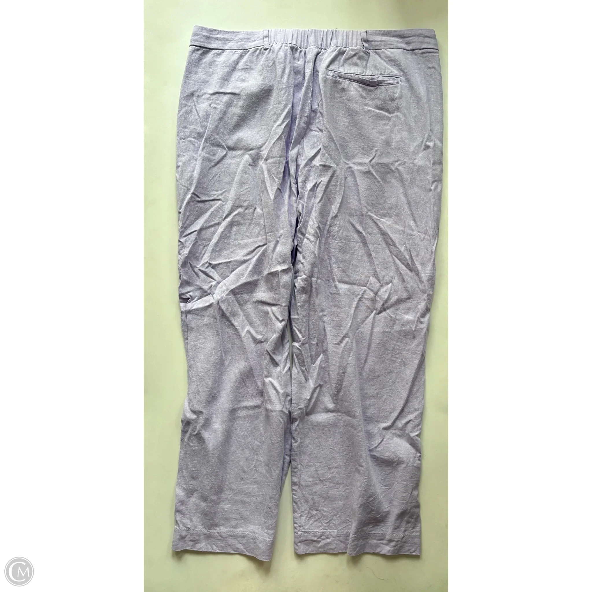 Pants Cargo & Utility By Old Navy In Purple, Size: Xl - Image 2