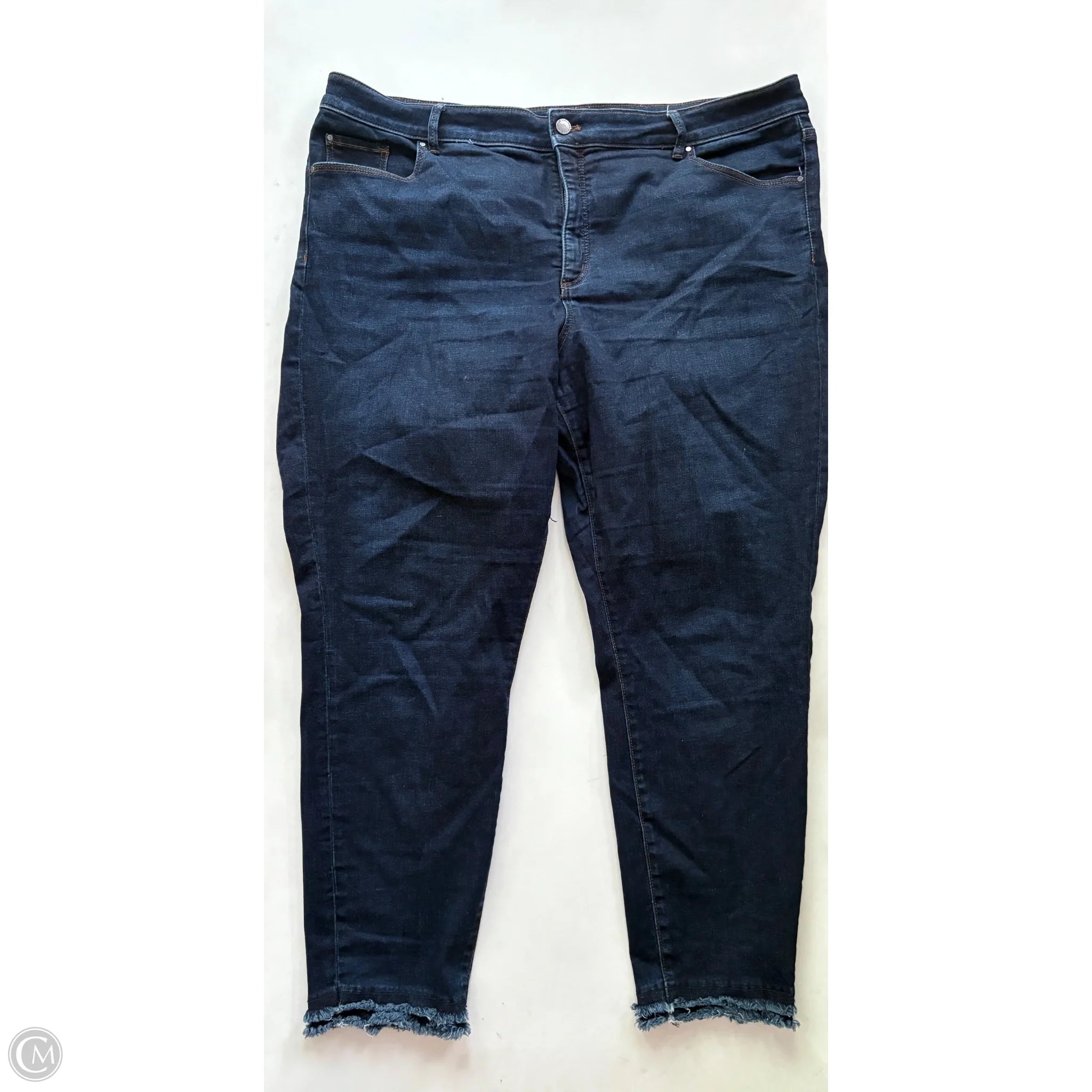Jeans Skinny By Ann Taylor In Blue, Size: 18 - Image 1