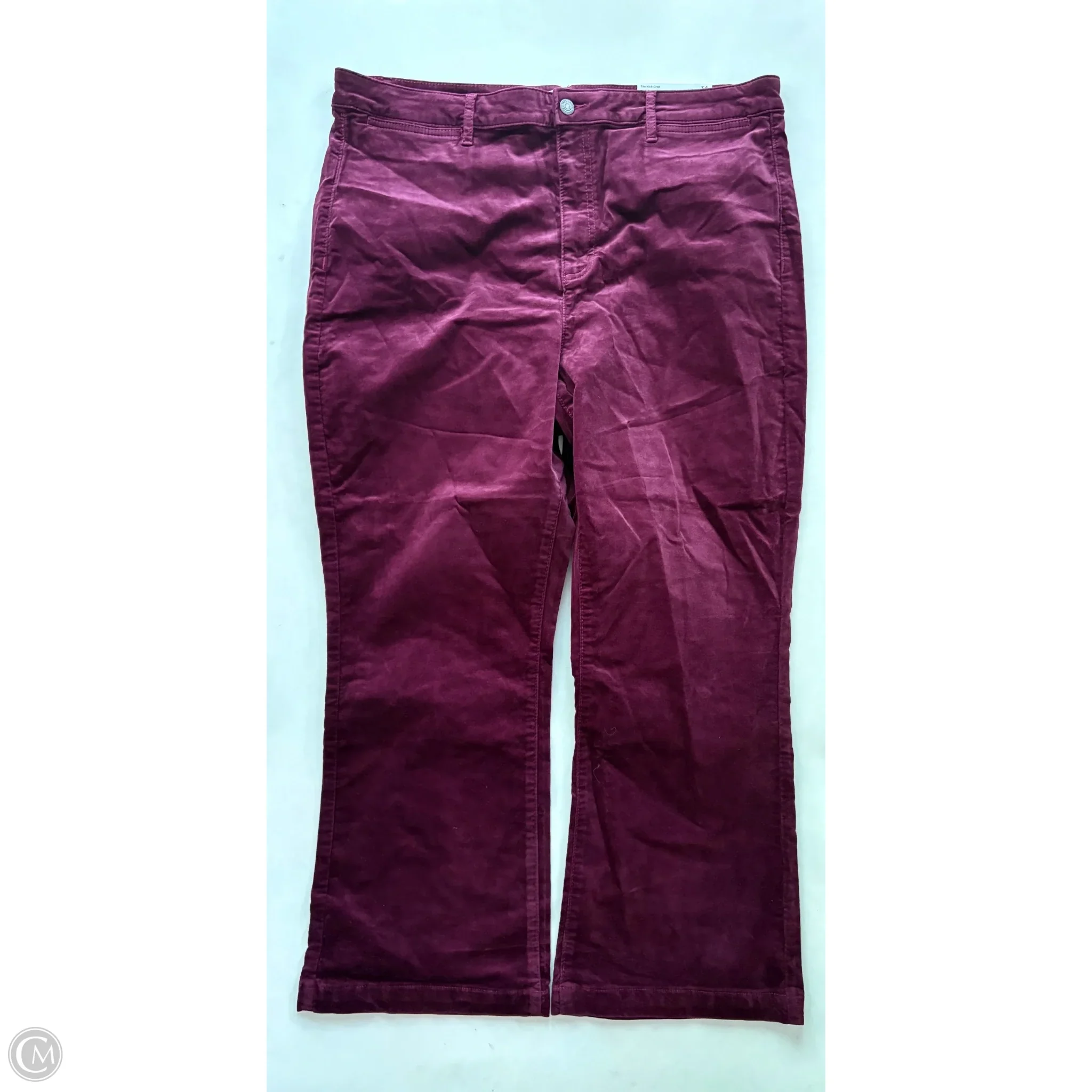 Jeans Skinny By Loft In Maroon, Size: 18 - Image 1