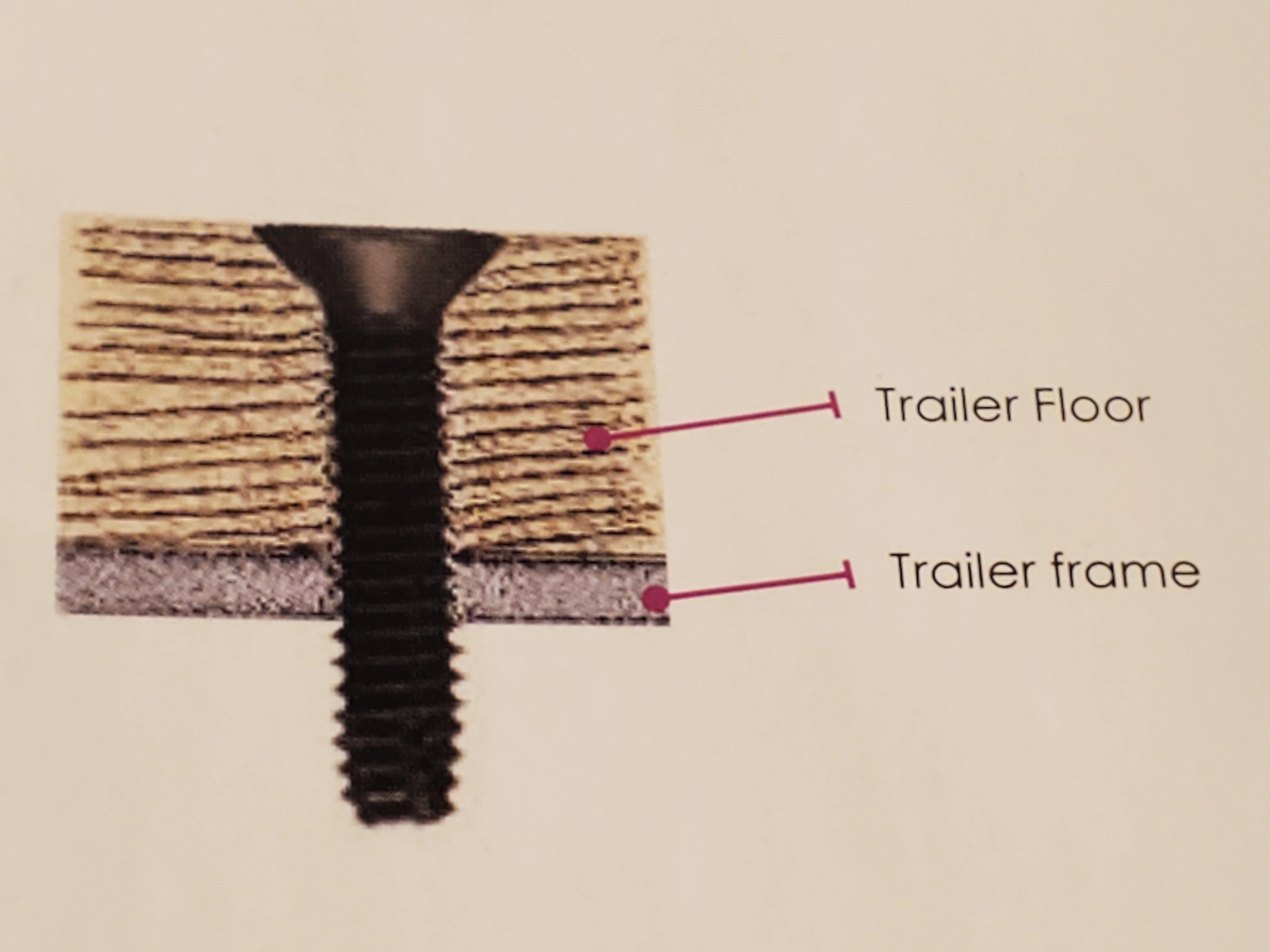TORX Trailer Floor Screws, 1/4"-20,  - in 3 Lengths - Image 1