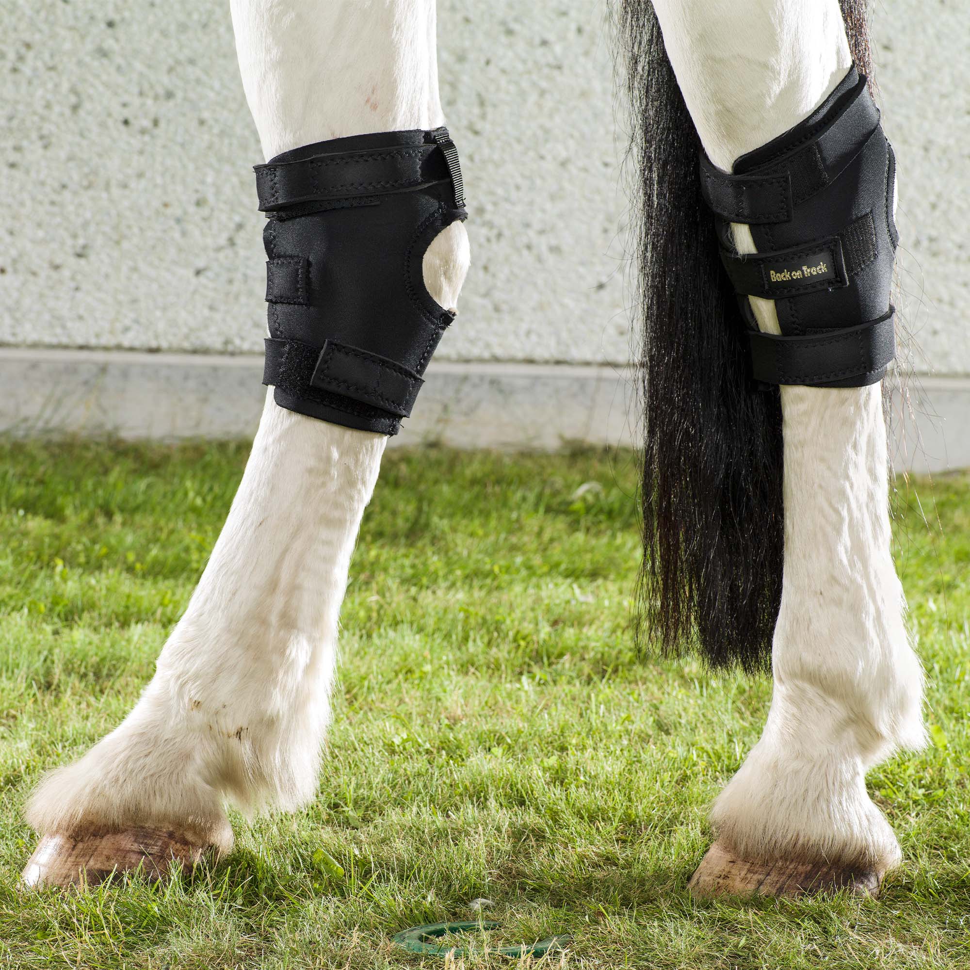 Back On Track Hock Boots (Pair) - Image 3