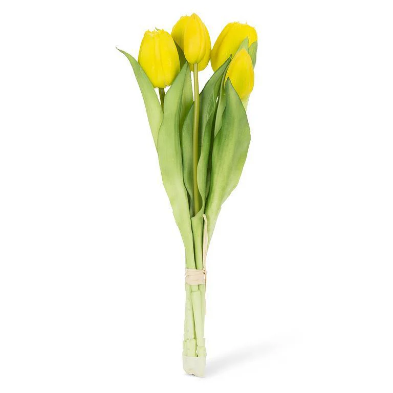 Tulip Bunch, Yellow