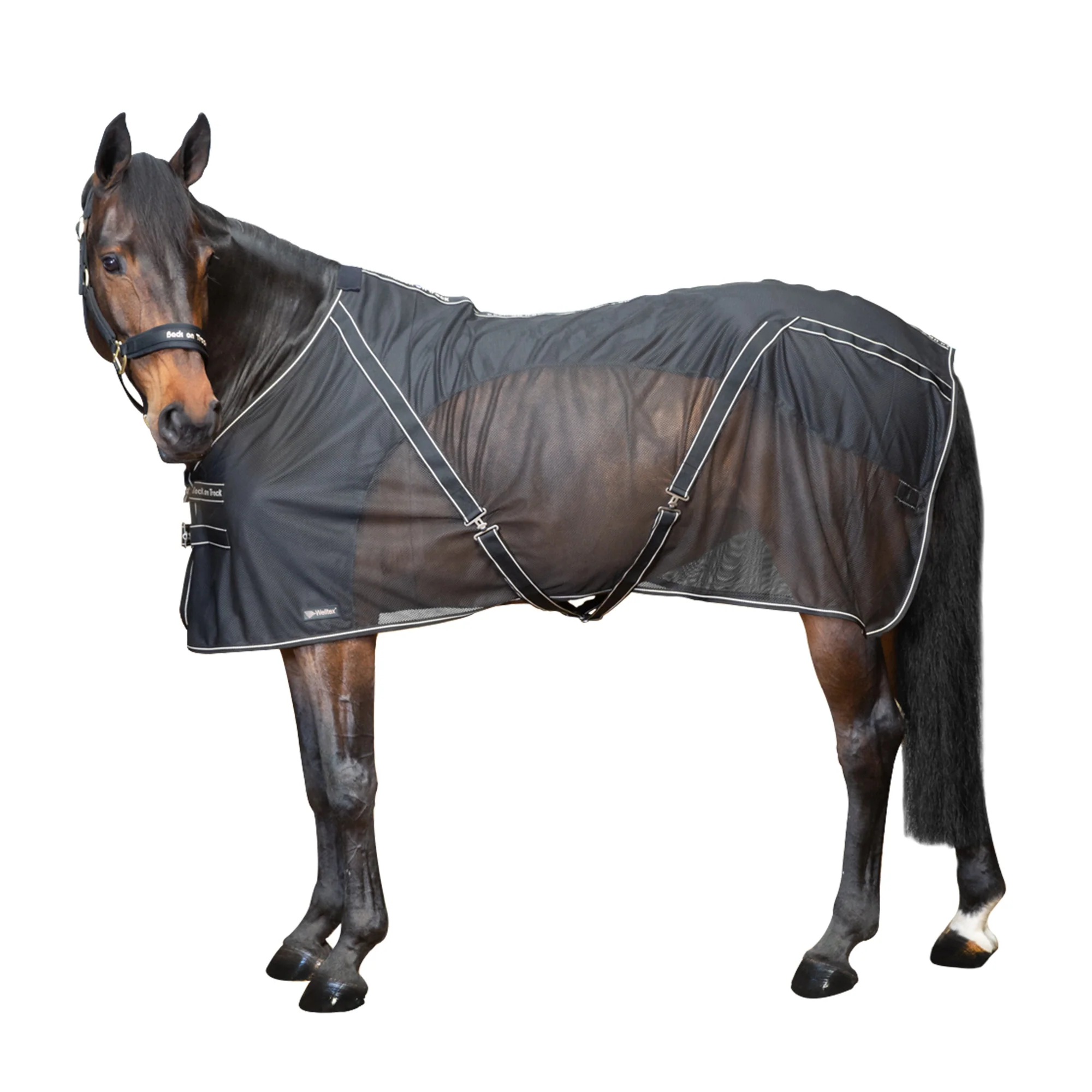 Back On Track Sienna Mesh Cooler - Image 1