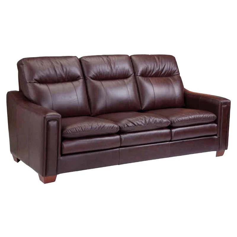 Leather Craft Simcoe Stationary Leather Sofa Simcoe Sofa - Image 2