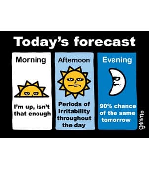 Fridge Magnet, Today