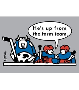 Fridge Magnet, Up from the farm team - Image 1