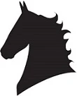 Show Horse