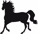 Horse Showing Off Reflective Decal