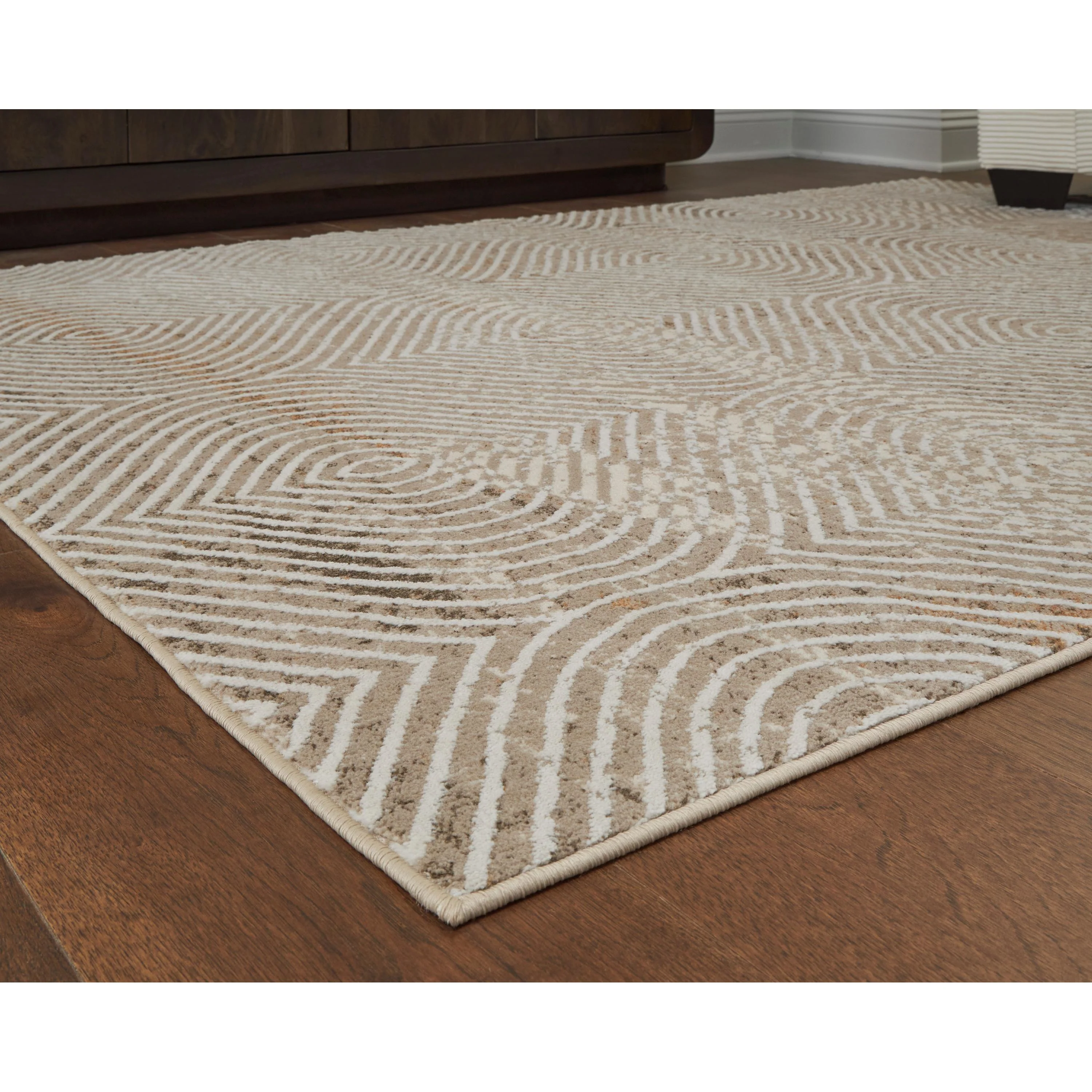 Signature Design by Ashley Bachus R407751 Large Rug - Image 3