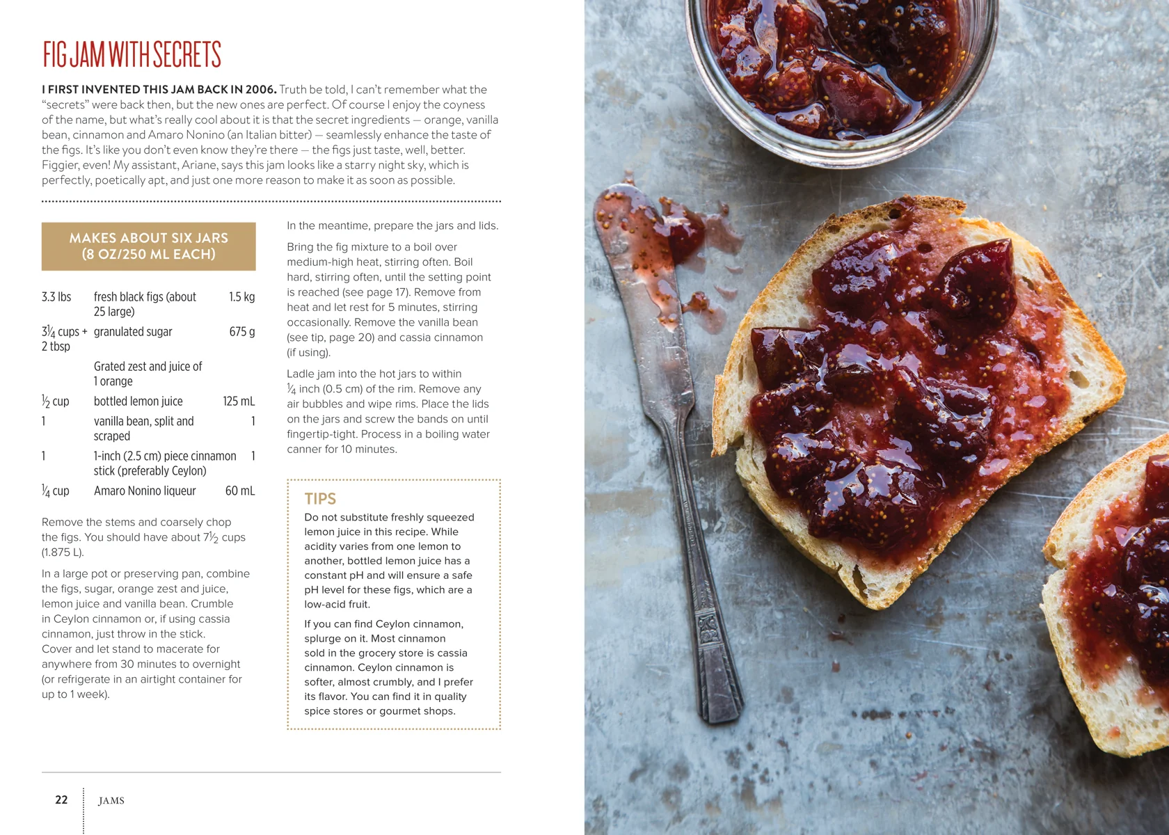 Preservation Society Home Preserves: 100 Modern Recipes - Image 3