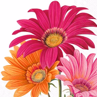 Cocktail Napkin, Joyful Gerber - Image 1