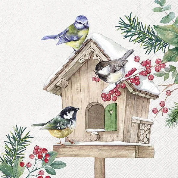 Cocktail Napkin, Birds Meeting