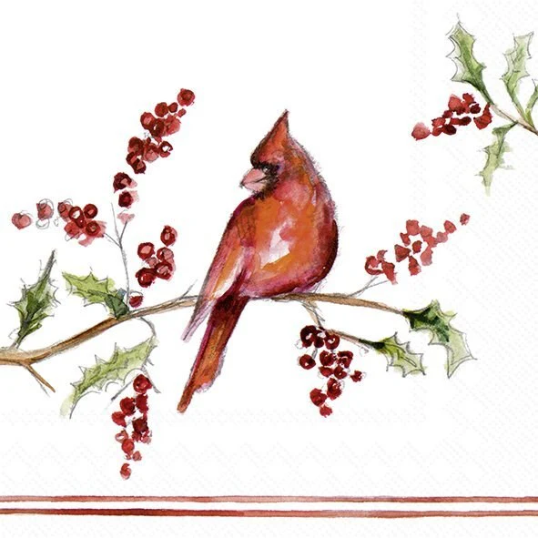 Cocktail Napkin, Cardinal