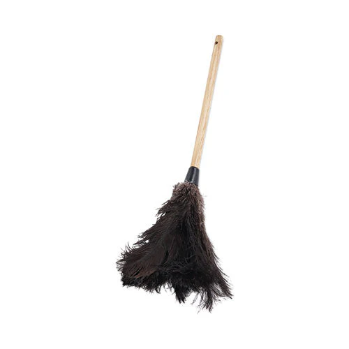 Professional Ostrich Feather Duster, 10" Handle - Image 1