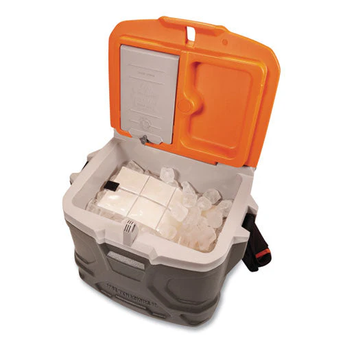Chill-its 6250 Lightweight Phase Change Cooling Packs, 6 X 13, 4/carton, Ships In 1-3 Business Days - Image 3