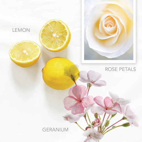 Body Wash, Vibrant Lemon, 12.2 Oz Bottle, 12/carton - Image 3