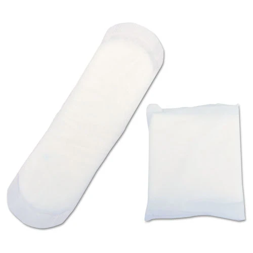 Maxithins Sanitary Pads, 250/carton - Image 1