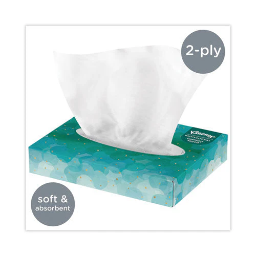 White Facial Tissue Junior Pack, 2-ply, 48 Sheets/box, 64 Boxes/carton - Image 2