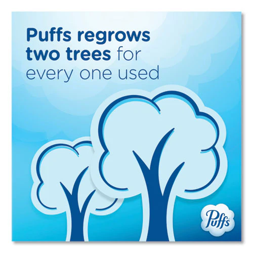 Ultra Soft Facial Tissue, 2-ply, White, 124 Sheets/box, 6 Boxes/pack, 4 Packs/carton - Image 2