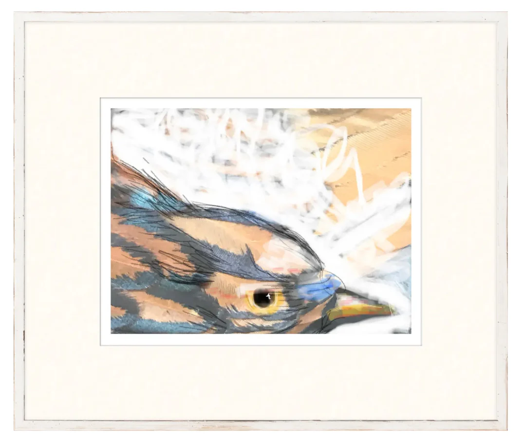 The Hidden Series IX - Image 1