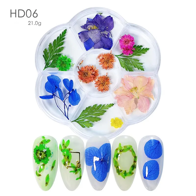 DIY Natural Real 3D Dried Flower - Image 3