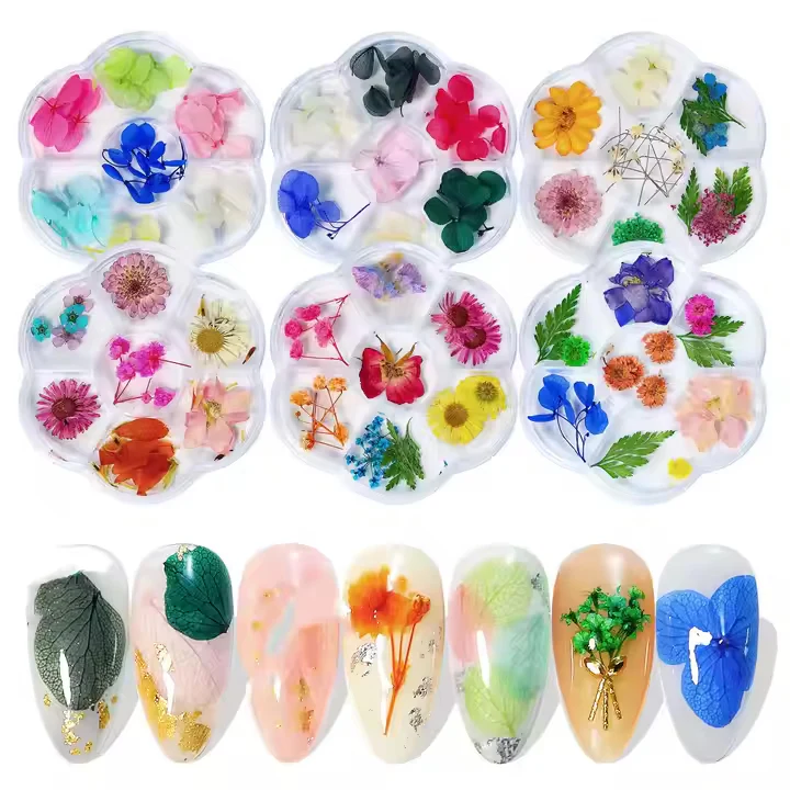 DIY Natural Real 3D Dried Flower - Image 2