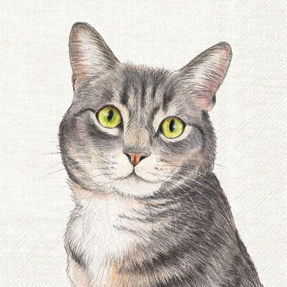 Lunch Napkin, Farm Cat - Image 1