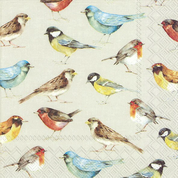 Lunch Napkin, The Birds