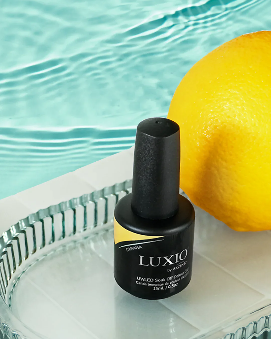Luxio - Cabana - Image 3
