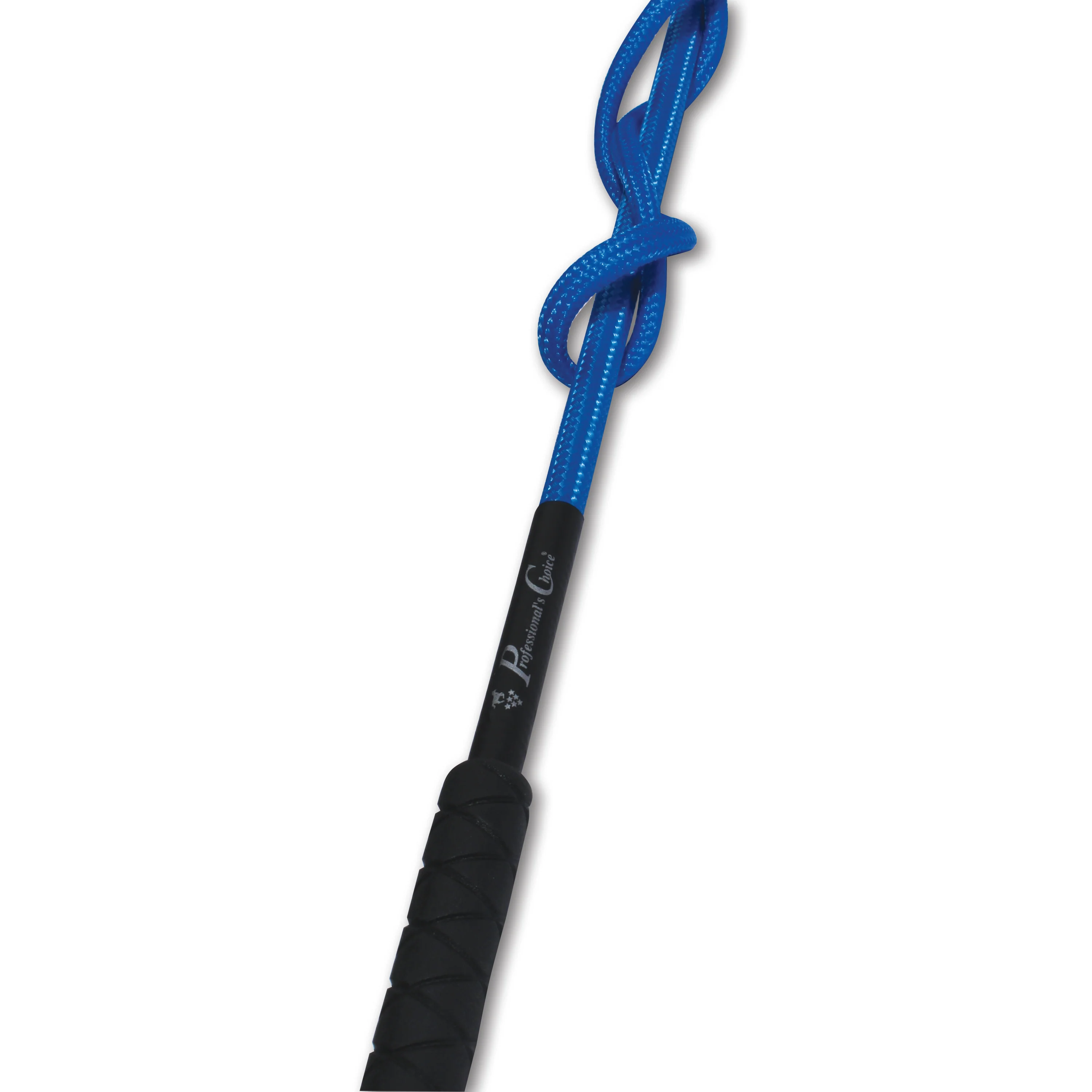Lunge Whip - Image 2