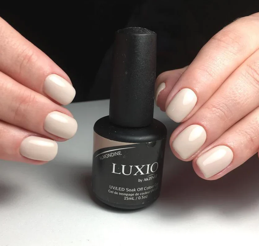 Luxio - Almondine - Image 3