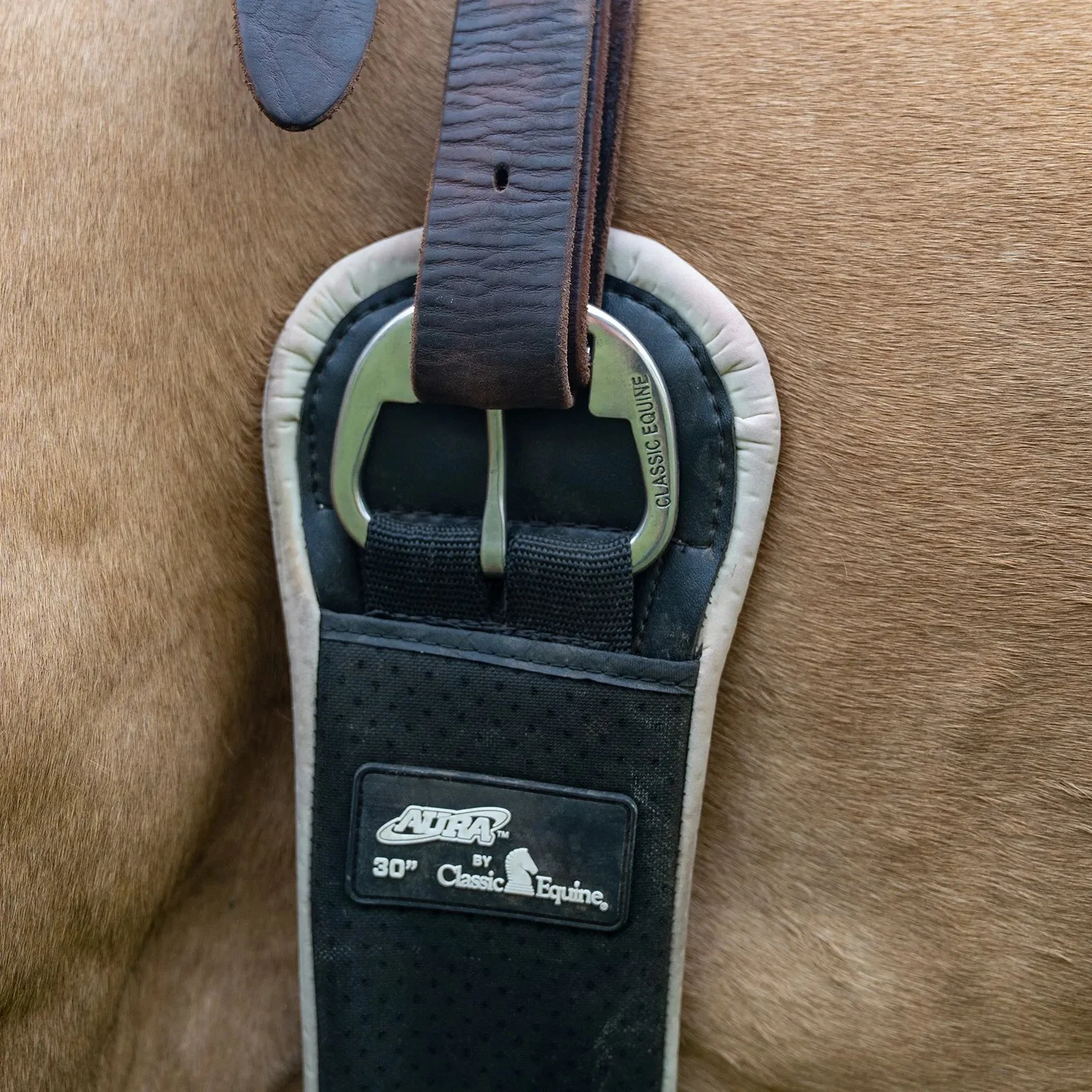Classic Equine The Aura Cinch- Straight - Image 3