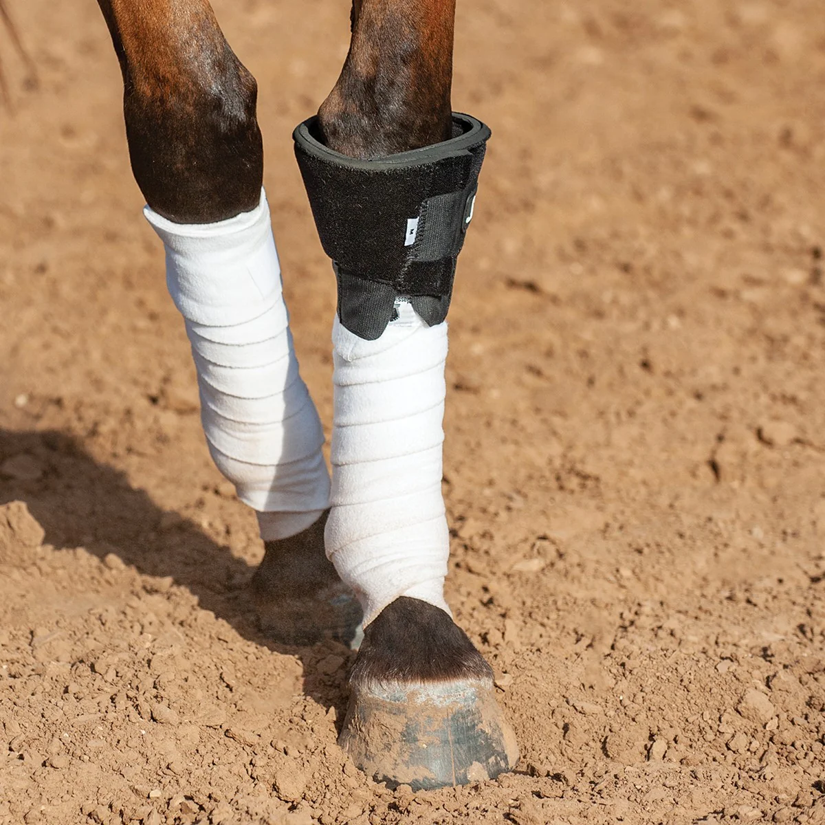 Classic Equine Knee Boot- BLACK - Image 1