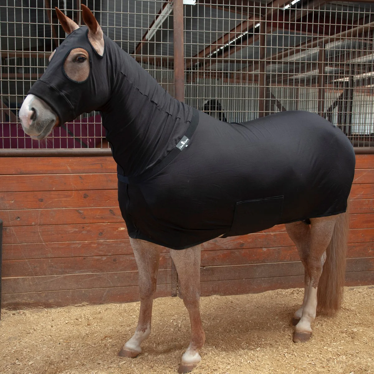 CE Full Body Slinky - Image 1