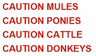 Caution Horses Sign:  CAUTION _______ (Animal Insert)