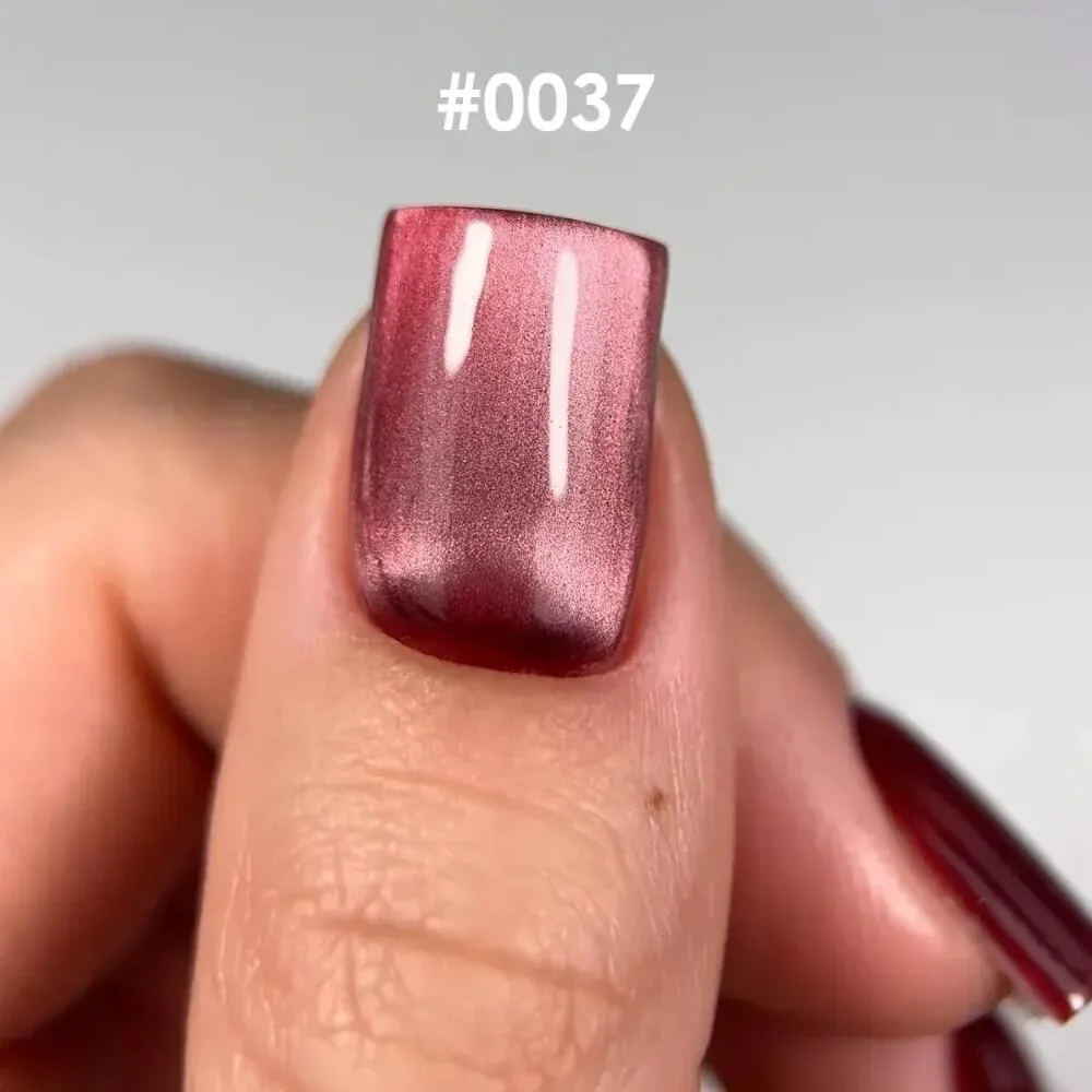 DNKa - Gel Polish Cat's Eye Silk #0037, 12ml - Image 2