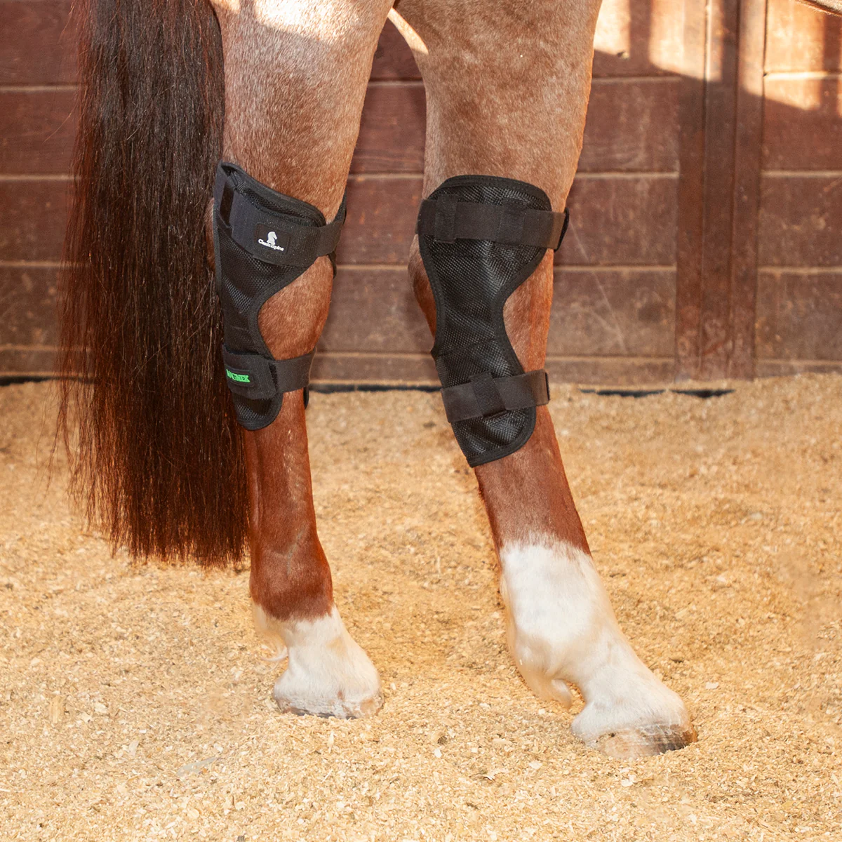 MagNTX Hock Wrap - Image 1
