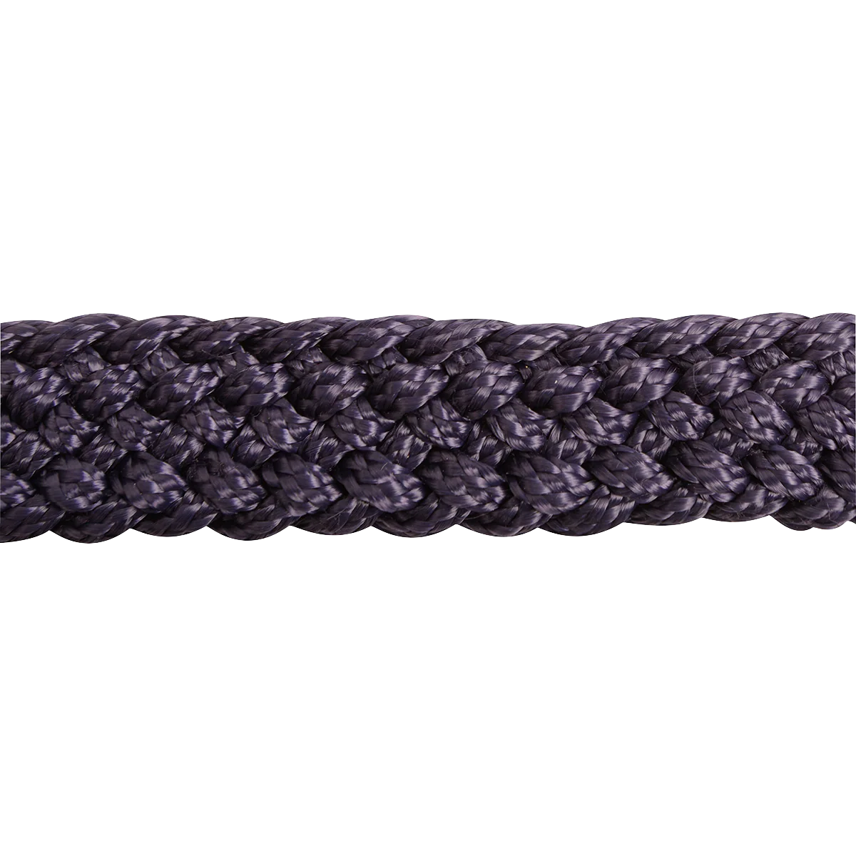 Flat Braid Mule Tape Halter w/ Lead - Image 2