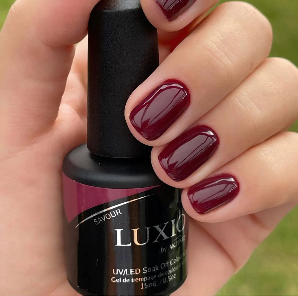 Luxio - Savour - Image 3