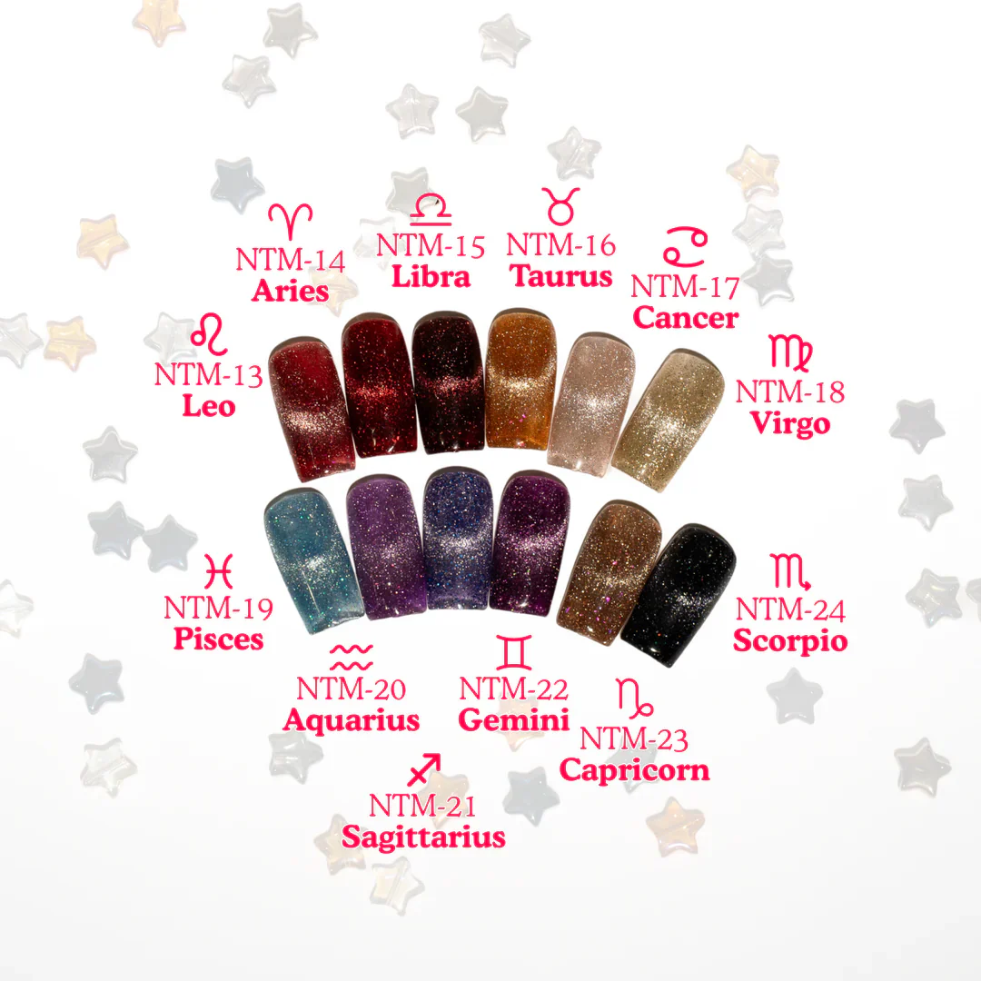 Nail Thoughts - Zodiac Flash Magnetic Gel Collection - Image 2