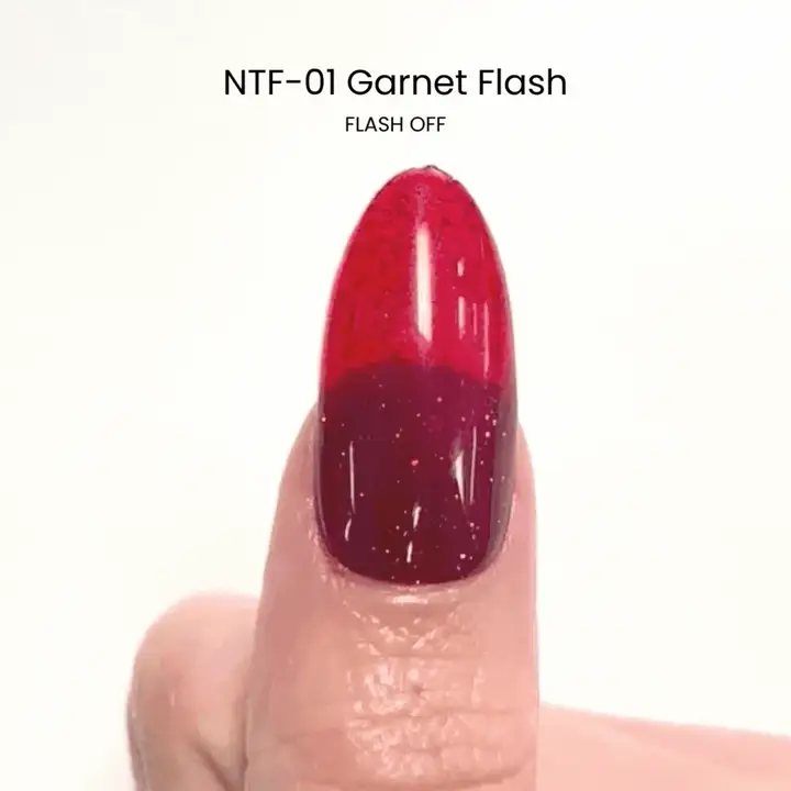 Nail Thoughts - NTF-01 Garnet Flash - Image 3