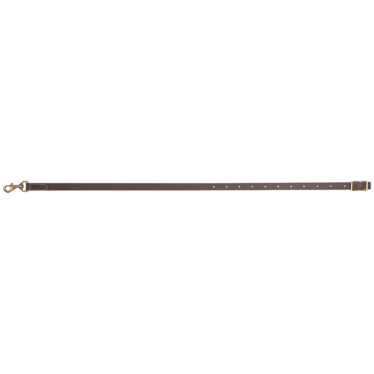 BioThane Tie Down Strap - Image 1