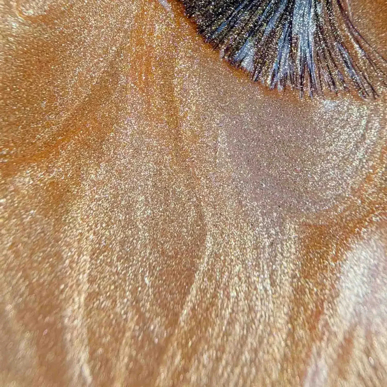 The GelBottle - Rush Magnetic Cat Eye, 20ml - Image 3