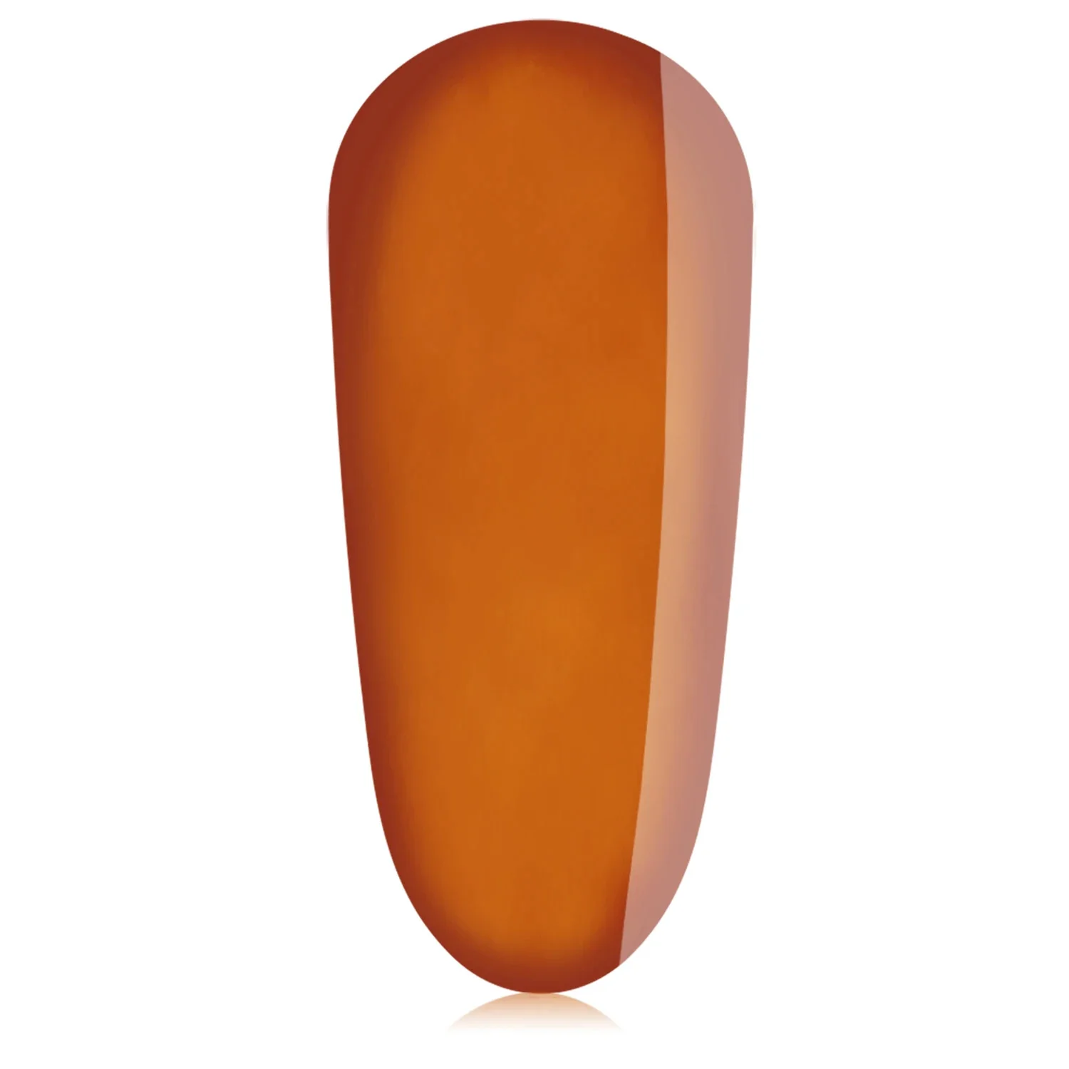 The GelBottle - Tortuga Gel Polish, 20ml - Image 1